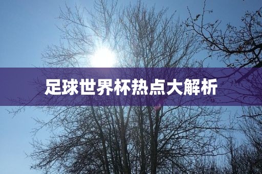 足球世界杯热点大解析