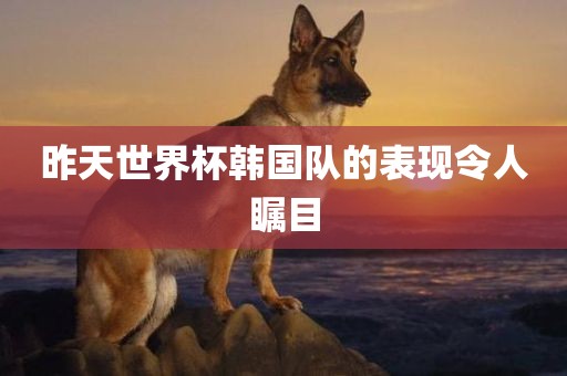 昨天世界杯韩国队的表现令人瞩目