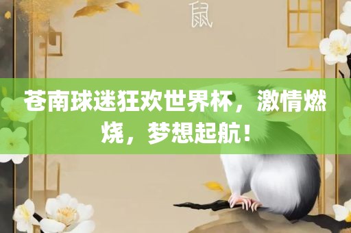苍南球迷狂欢世界杯，激情燃烧，梦想起航！