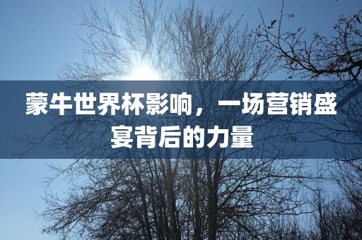 蒙牛世界杯影响，一场营销盛宴背后的力量