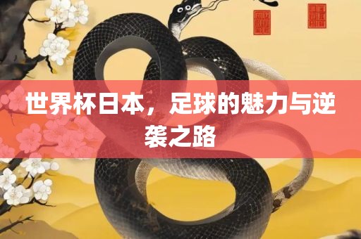 世界杯日本，足球的魅力与逆袭之路