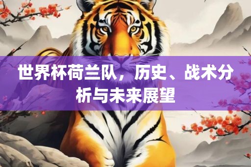 世界杯荷兰队，历史、战术分析与未来展望