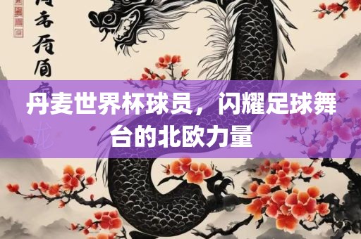 丹麦世界杯球员，闪耀足球舞台的北欧力量