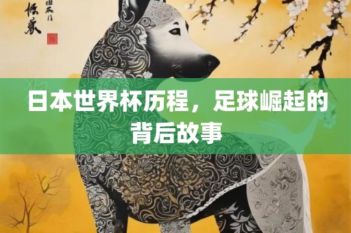 日本世界杯历程，足球崛起的背后故事