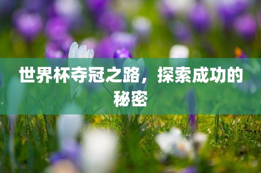 世界杯夺冠之路，探索成功的秘密