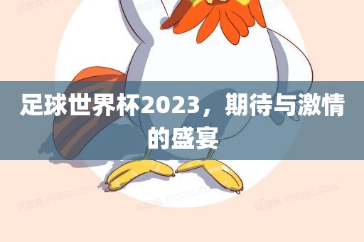 足球世界杯2023，期待与激情的盛宴