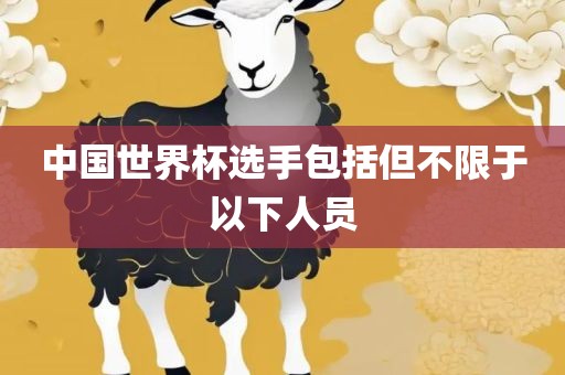 中国世界杯选手包括但不限于以下人员
