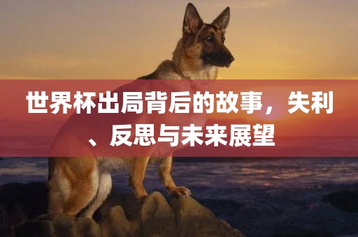 世界杯出局背后的故事，失利、反思与未来展望