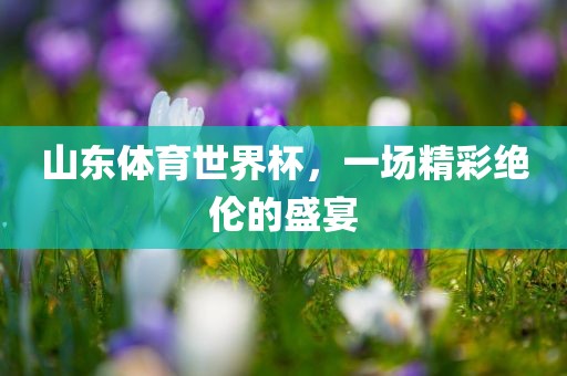 山东体育世界杯，一场精彩绝伦的盛宴