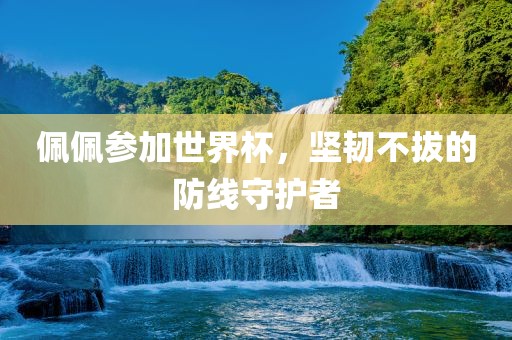 佩佩参加世界杯，坚韧不拔的防线守护者
