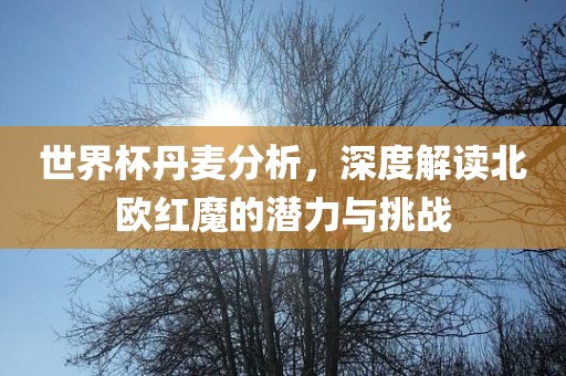 世界杯丹麦分析，深度解读北欧红魔的潜力与挑战
