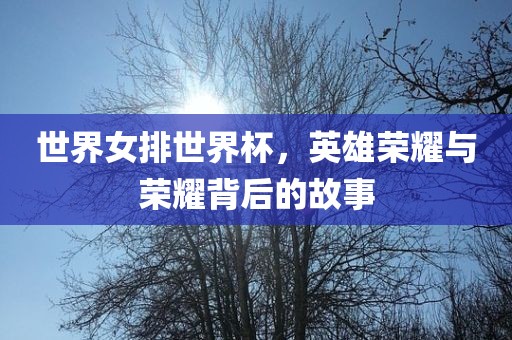 世界女排世界杯，英雄荣耀与荣耀背后的故事江门市永晋源无纺布有限公司