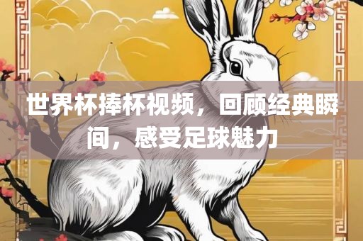世界杯捧杯视频，回顾经典瞬间，感受足球魅力