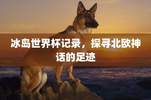 冰岛世界杯记录，探寻北欧神话的足迹