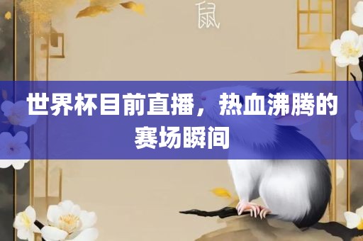 世界杯目前直播，热血沸腾的赛场瞬间