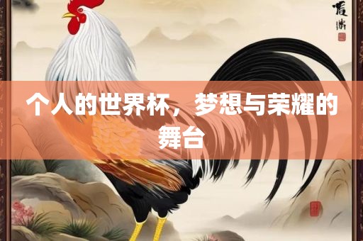 个人的世界杯，梦想与荣耀的舞台