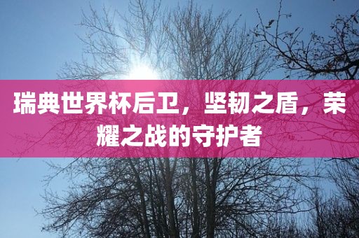 瑞典世界杯后卫，坚韧之盾，荣耀之战的守护者