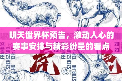 明天世界杯预告，激动人心的赛事安排与精彩纷呈的看点
