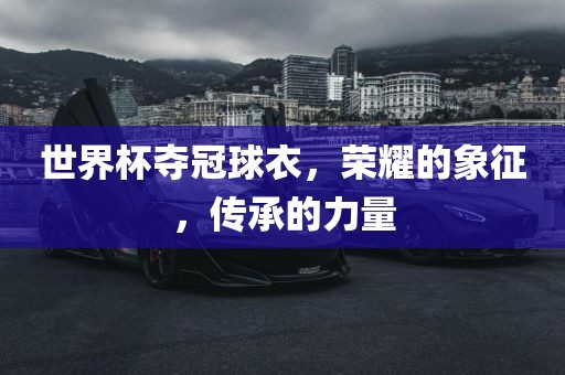 世界杯夺冠球衣，荣耀的象征，传承的力量
