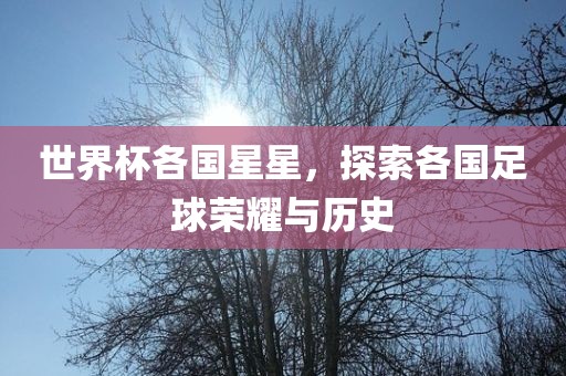 世界杯各国星星，探索各国足球荣耀与历史