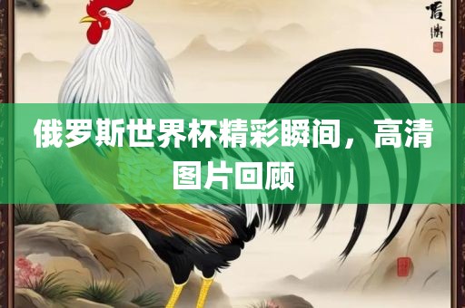 俄罗斯世界杯精彩瞬间，高清图片回顾