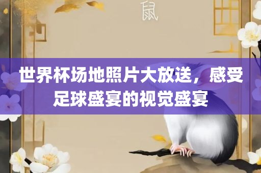 世界杯场地照片大放送，感受足球盛宴的视觉盛宴
