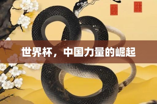 世界杯，中国力量的崛起