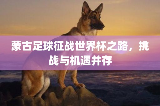 蒙古足球征战世界杯之路，挑战与机遇并存