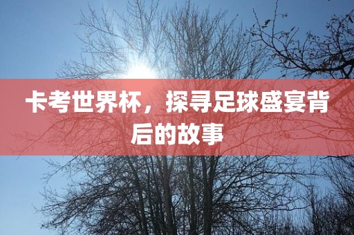 卡考世界杯，探寻足球盛宴背后的故事