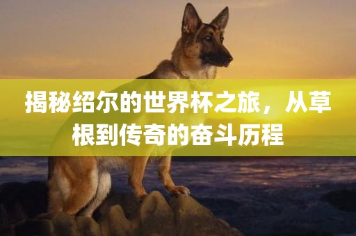 揭秘绍尔的世界杯之旅，从草根到传奇的奋斗历程