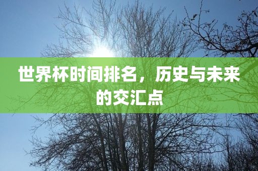 世界杯时间排名，历史与未来的交汇点