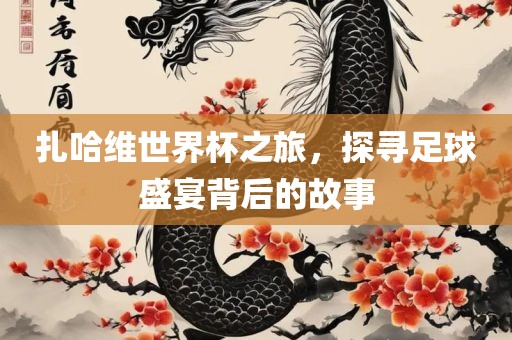 扎哈维世界杯之旅，探寻足球盛宴背后的故事