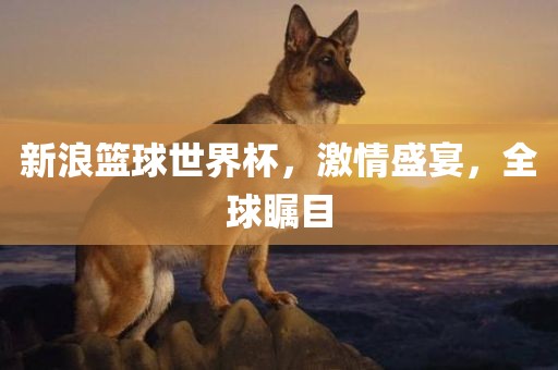 新浪篮球世界杯，激情盛宴，全球瞩目