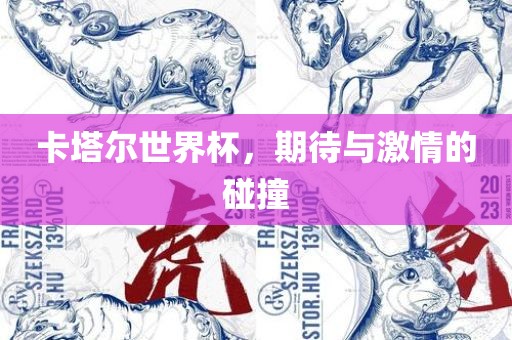 卡塔尔世界杯，期待与激情的碰撞