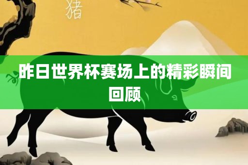 昨日世界杯赛场上的精彩瞬间回顾