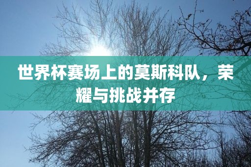 世界杯赛场上的莫斯科队，荣耀与挑战并存