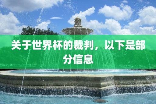 关于世界杯的裁判，以下是部分信息