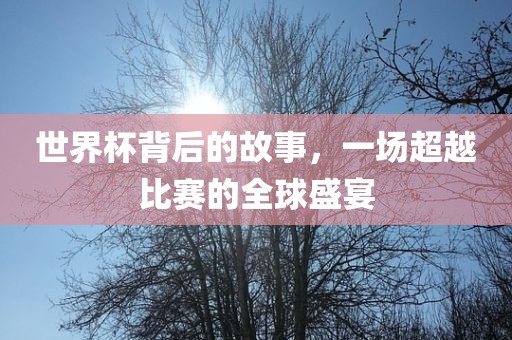 世界杯背后的故事，一场超越比赛的全球盛宴江门市永晋源无纺布有限公司