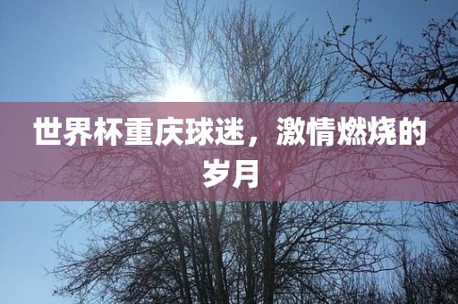 世界杯重庆球迷，激情燃烧的岁月