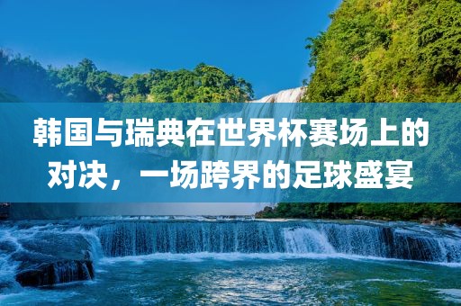 韩国与瑞典在世界杯赛场上的对决，一场跨界的足球盛宴