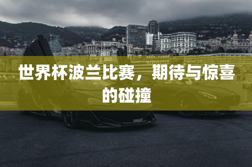 世界杯波兰比赛，期待与惊喜的碰撞
