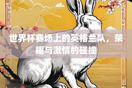 世界杯赛场上的英格兰队，荣耀与激情的碰撞