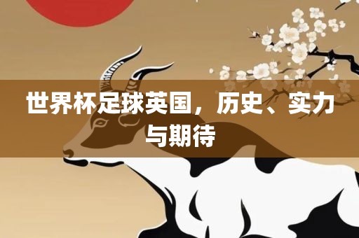 世界杯足球英国，历史、实力与期待