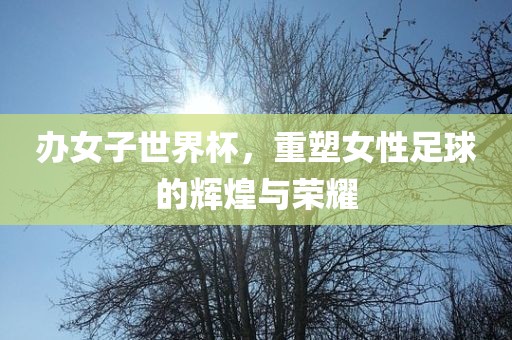 办女子世界杯，重塑女性足球的辉煌与荣耀