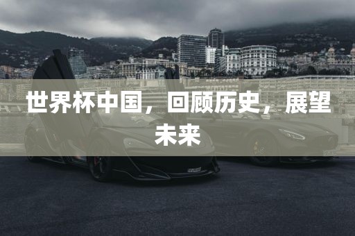 世界杯中国，回顾历史，展望未来