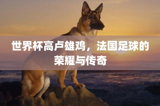 世界杯高卢雄鸡，法国足球的荣耀与传奇
